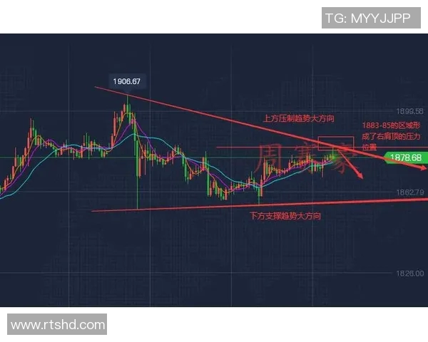 重庆乒乓球队战术解析与实战应用的深度探讨与展望