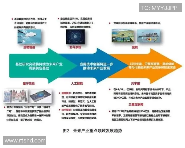 上海排球队的实力分析与未来发展方向探讨